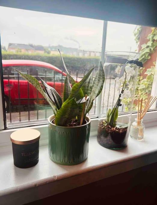 Large 2 Bedroom, Ground Floor Flat, Close To City Edinburg Exteriör bild